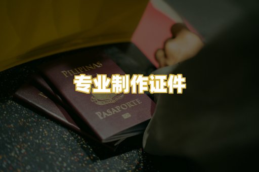 专业制作证件