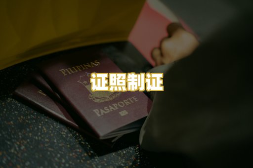证照制证